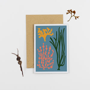 Seaweed Card - Blue